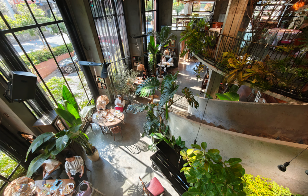 The plant-filled lounge